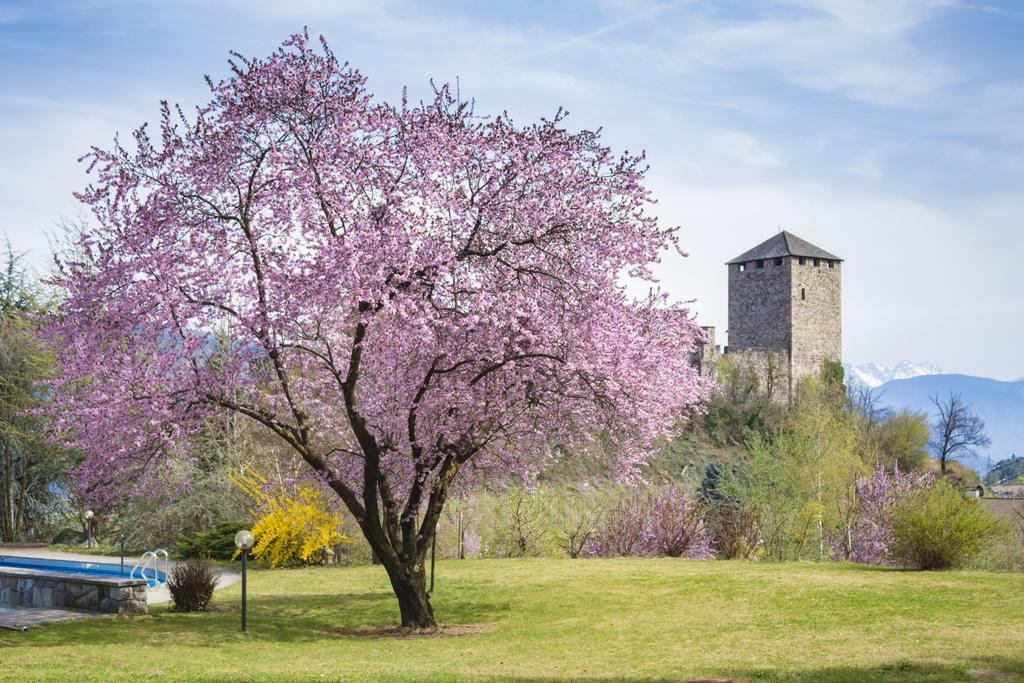 Hotel Der Waldhof Vollan Exteriér fotografie